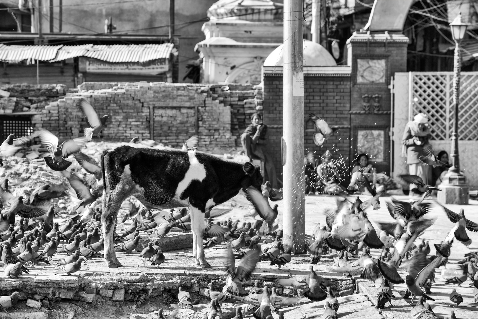 Pashupatinath 24