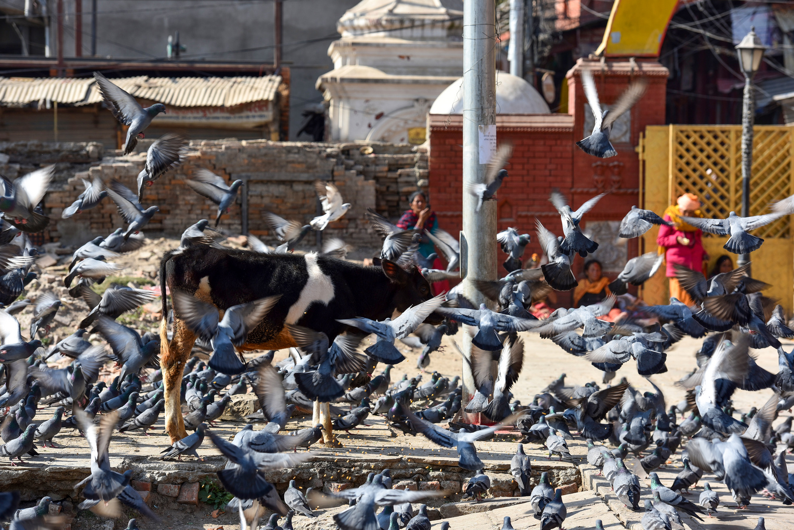 Pashupatinath 25