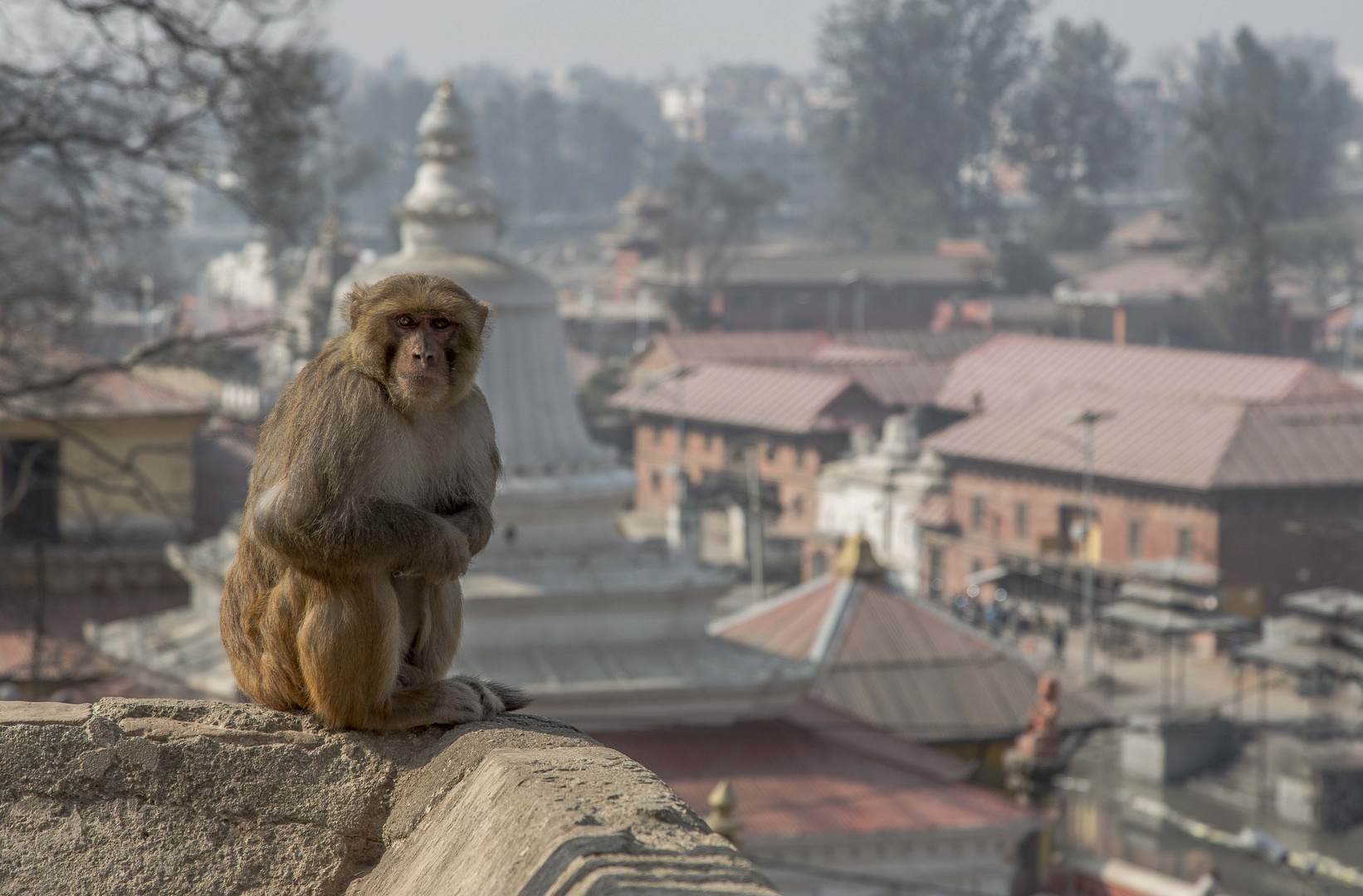 Pashupatinath