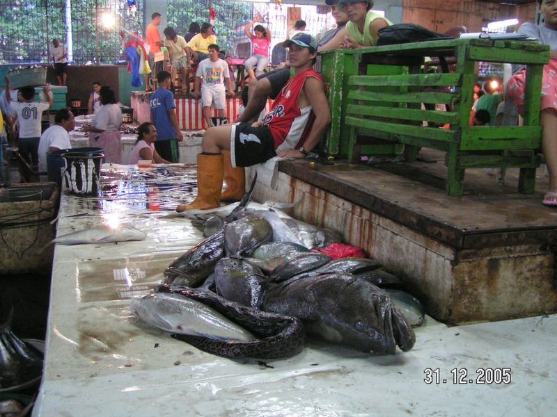 Pasil fish market, Cebu, Philippines