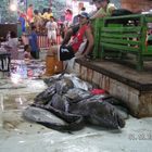 Pasil fish market, Cebu, Philippines
