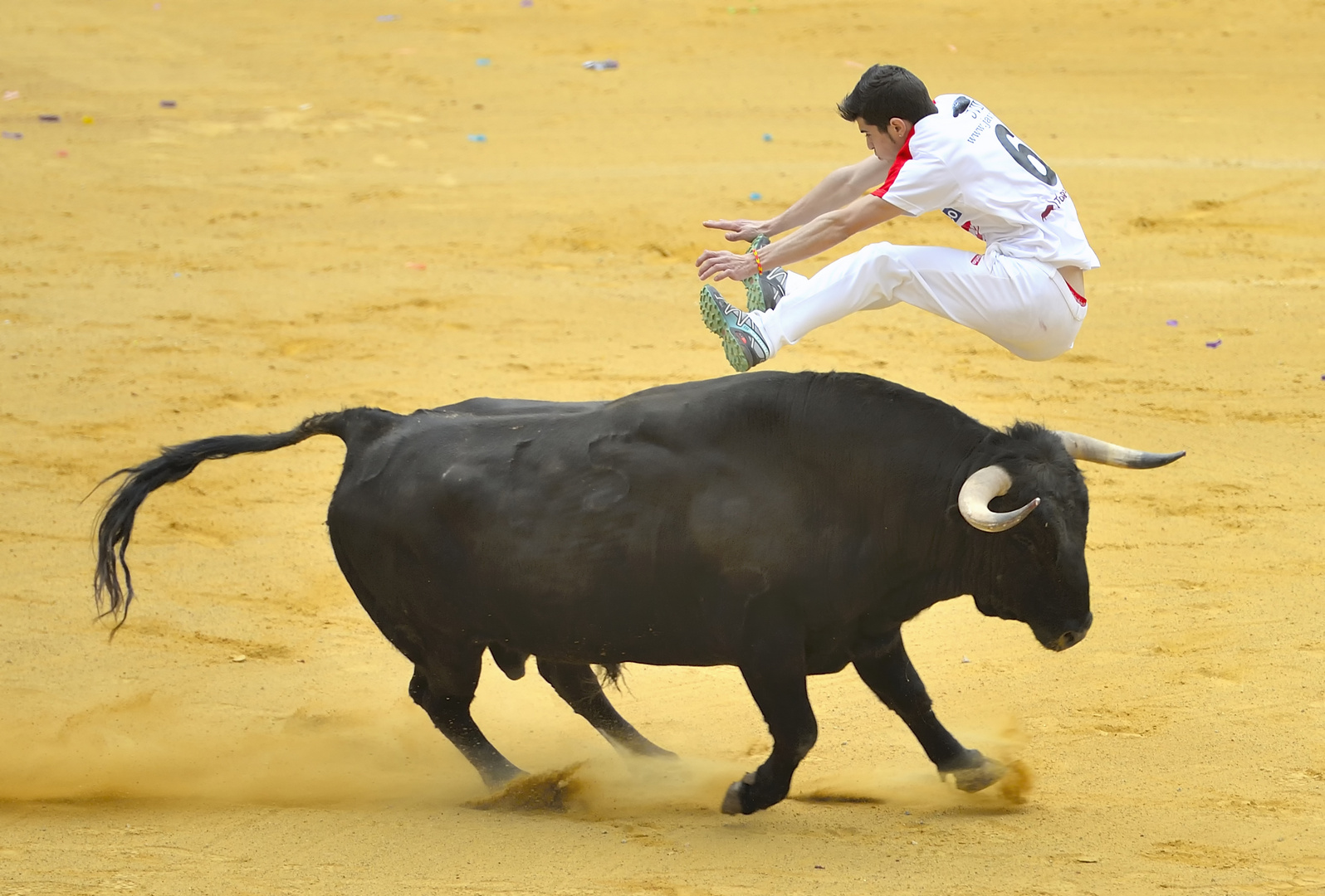 PASIÓN POR EL BOU