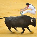 PASIÓN POR EL BOU