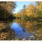 Pasinger Stadtpark im Herbstkleid