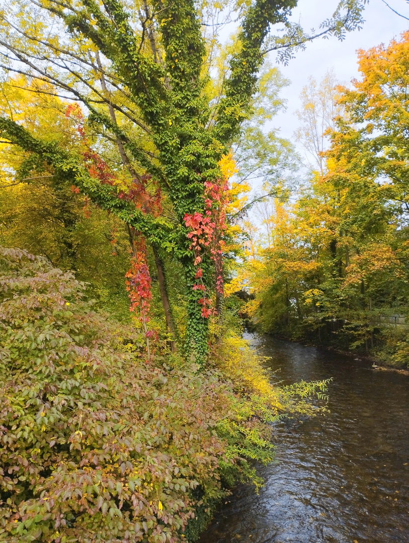 Pasinger Stadtüark