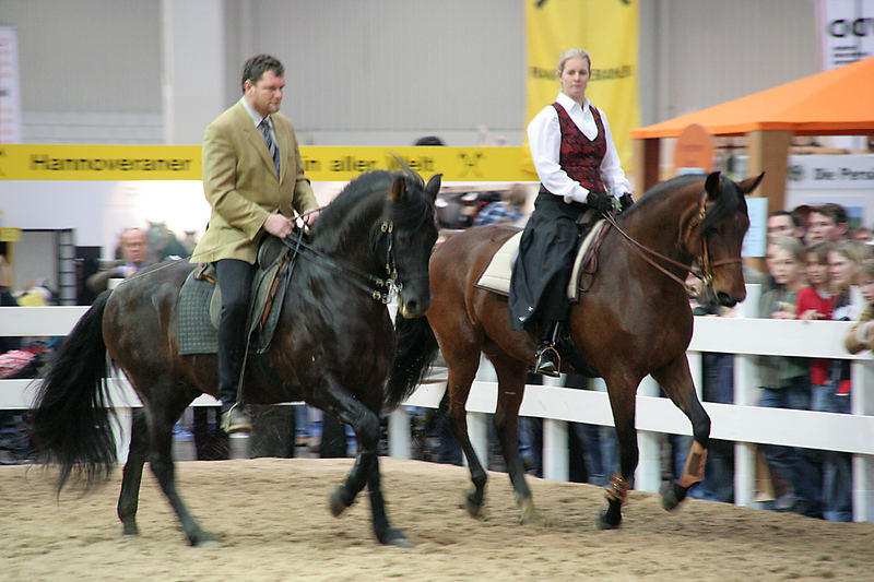 Paso Ibero und PRE, "Pferd und Jagd"