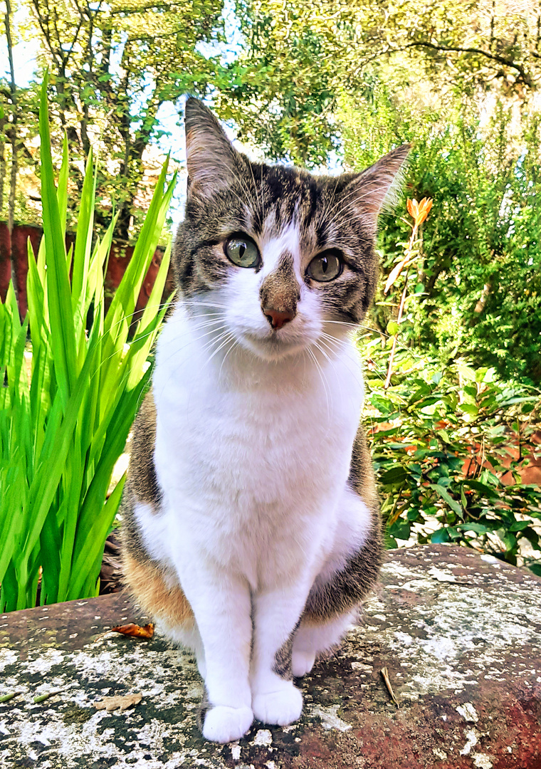 paß gut auf: Das ist mein Garten!