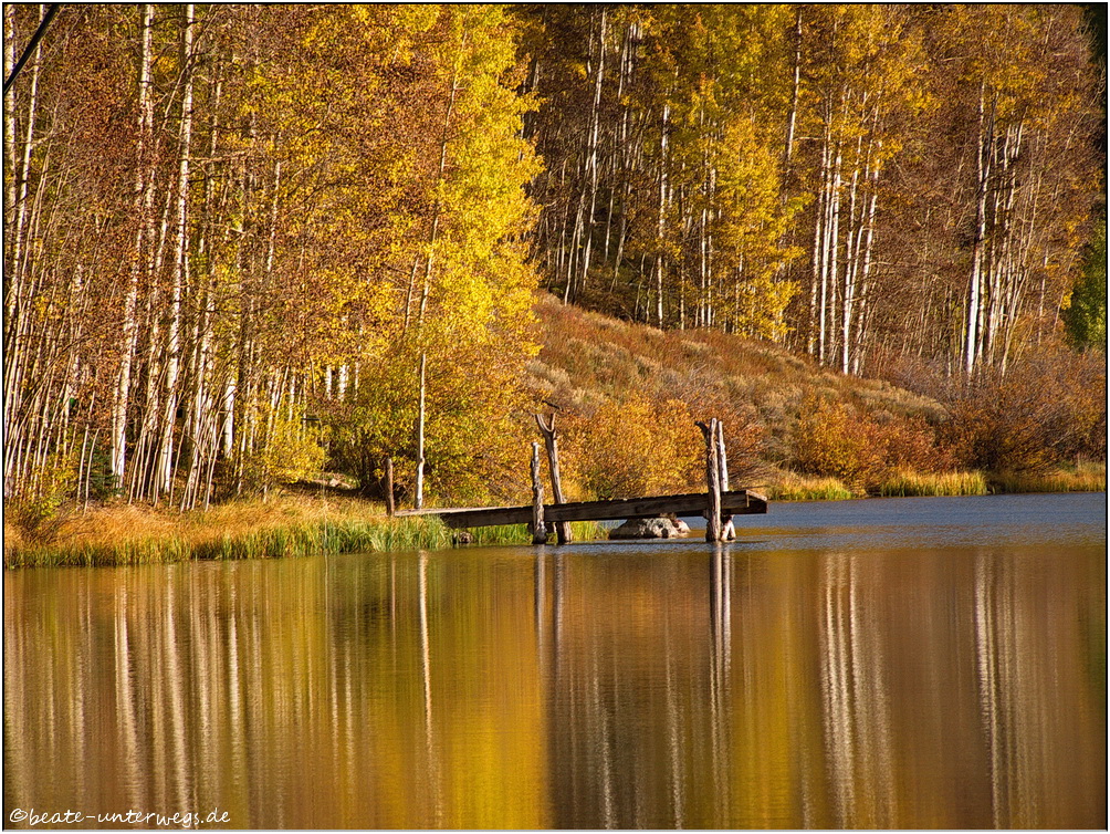 Pass Zeit 14 - Golden