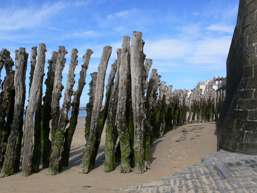 Passage à éléphants ? St Malo