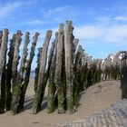 Passage à éléphants ? St Malo