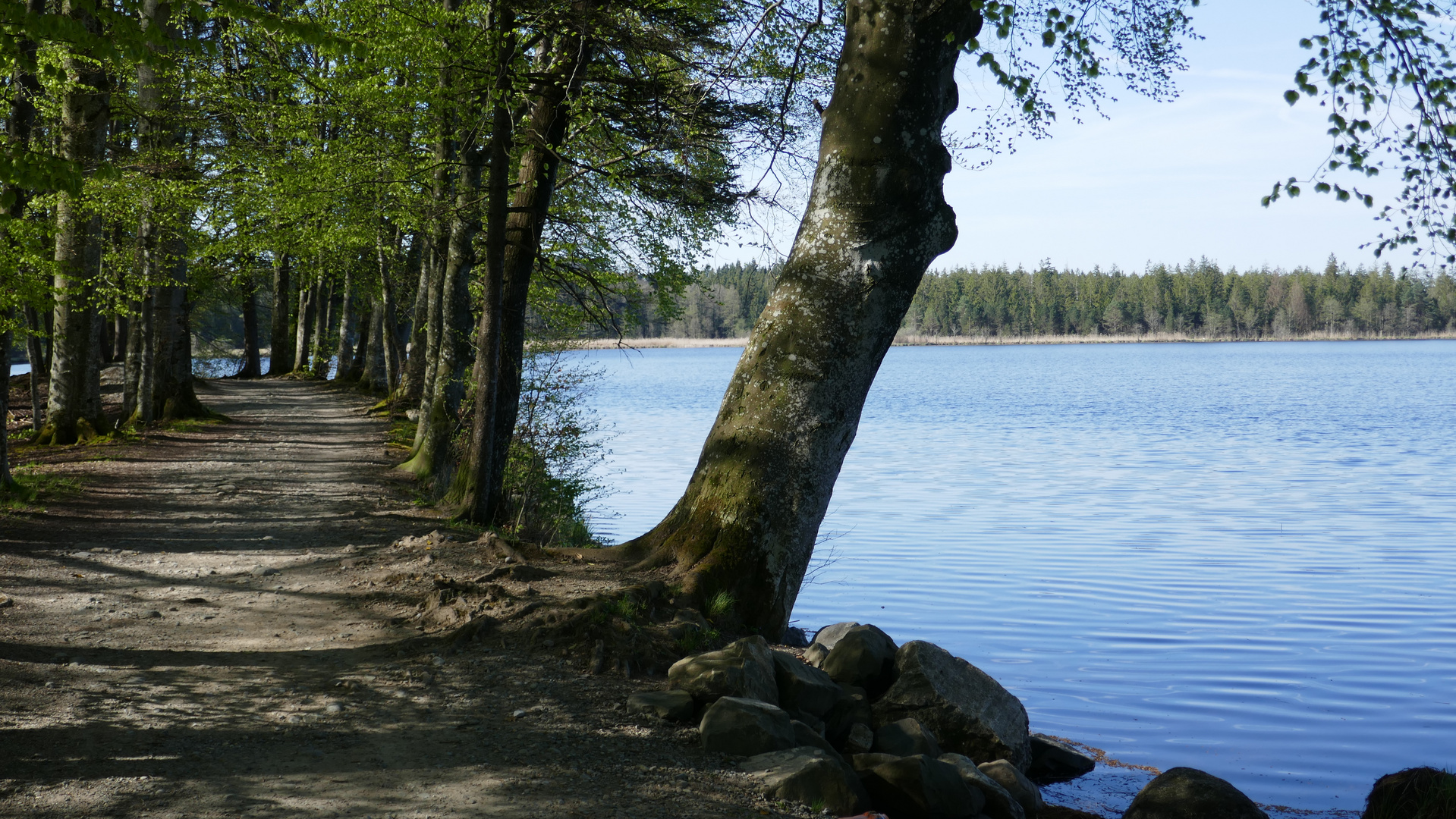 Passage am Holzmühlweiher