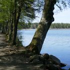 Passage am Holzmühlweiher