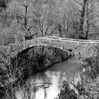 Passage du pont à vos risques et périls