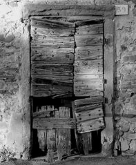 passage for cats and mice