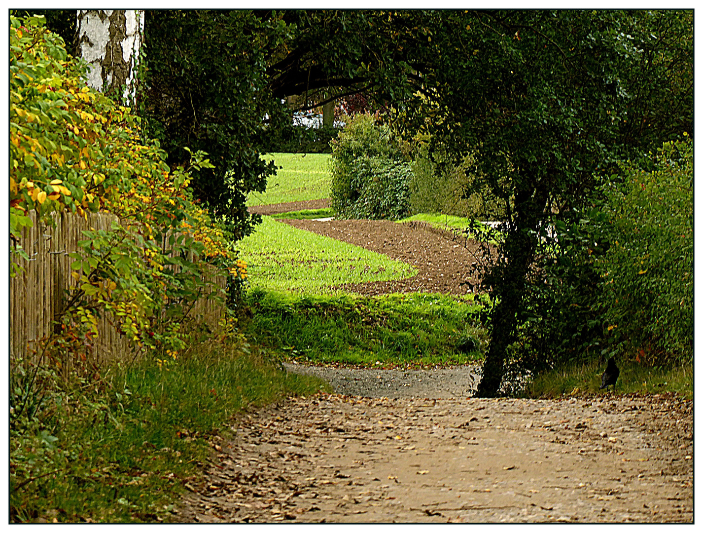 Passage im Grünen