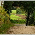 Passage im Grünen