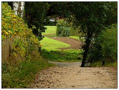 Passage im Grünen