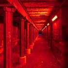 Passage in Rot