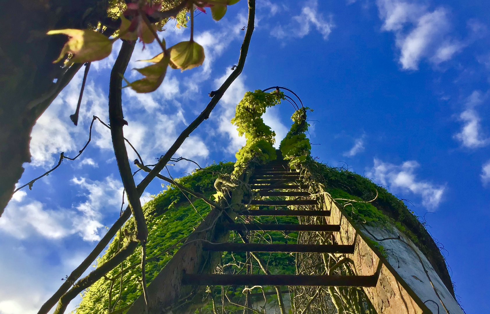 Passage pour les cieux / Durchgang für den Himmel