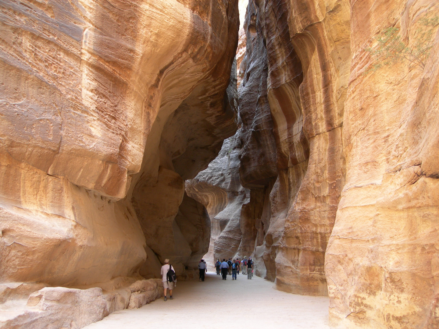 Passage to Petra