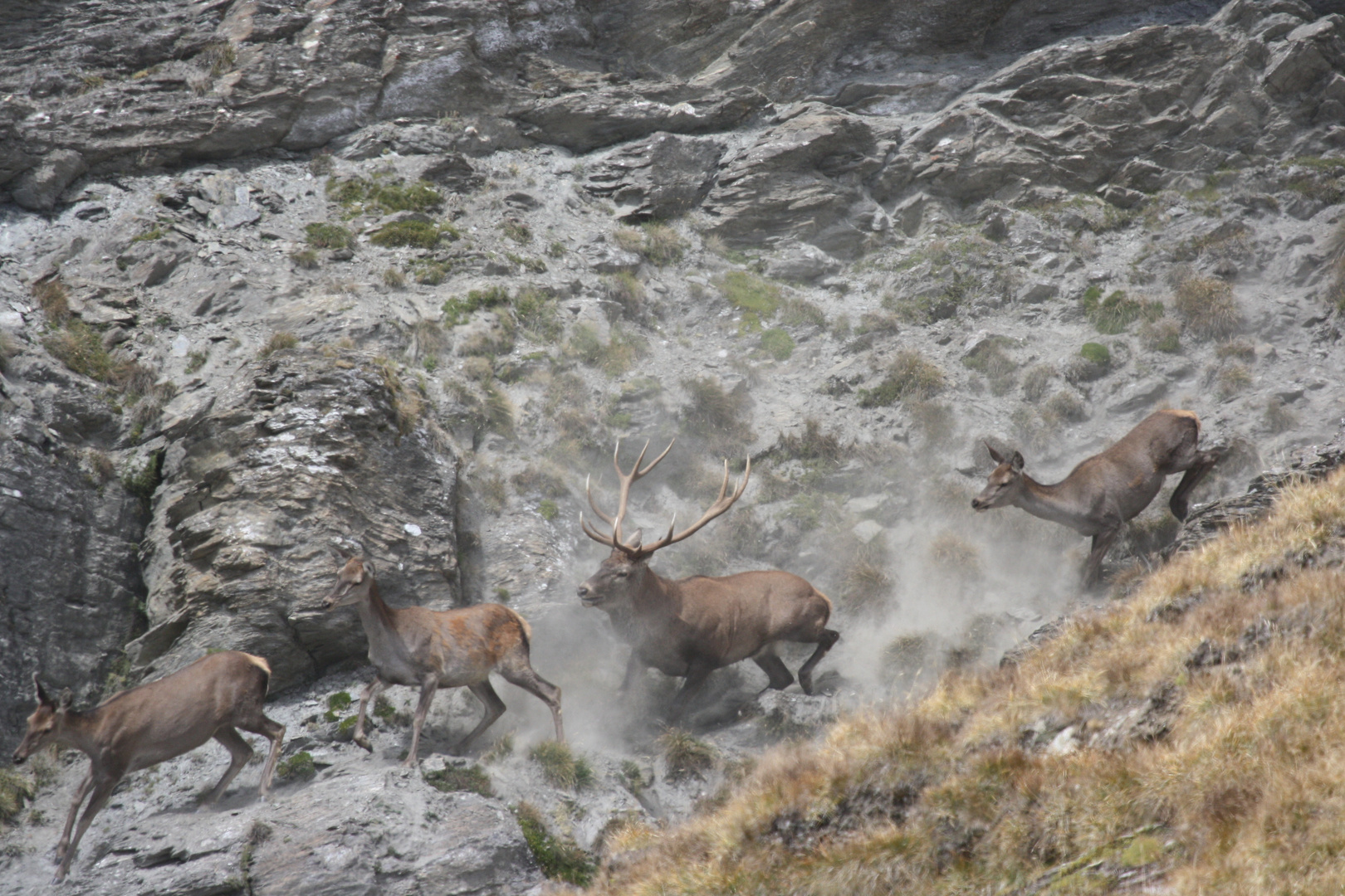 Passaggio a Nord-Ovest