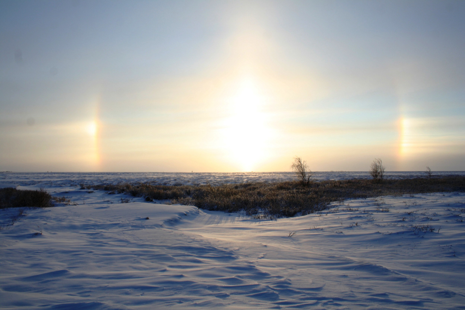 Passaggio nel;la Tundra Siberiana