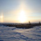 Passaggio nel;la Tundra Siberiana