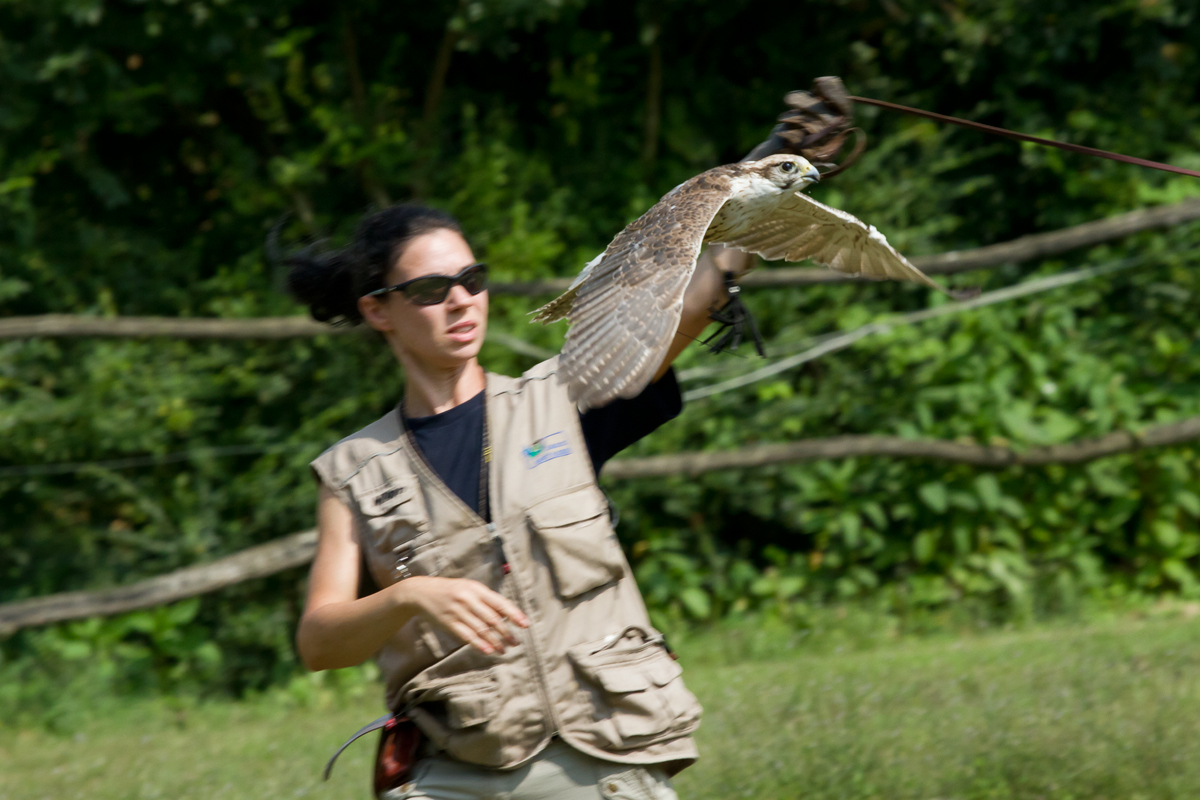 passaggio sul Logoro