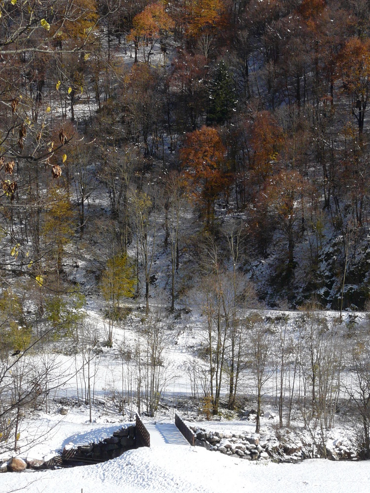 Passaggio tra autunno e inverno