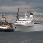 Passagierschiff „Funchal“ und Schlepper „Svitzer Oden“.