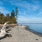 [ Passamaquoddy Bay ]