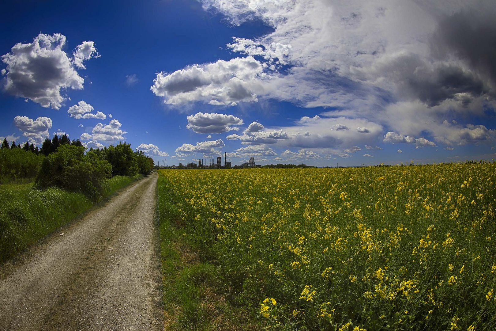 passando col giallo