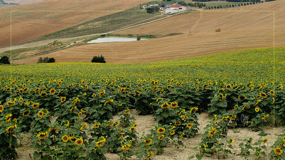 Passando per Contrada Picciano