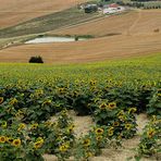 Passando per Contrada Picciano