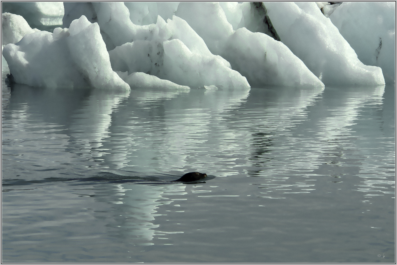 Passant im Jökulsarlon...