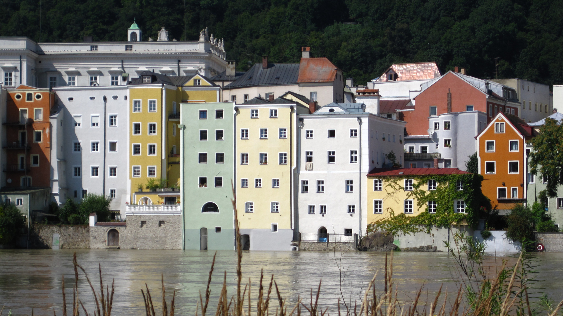 Passau für Innsider