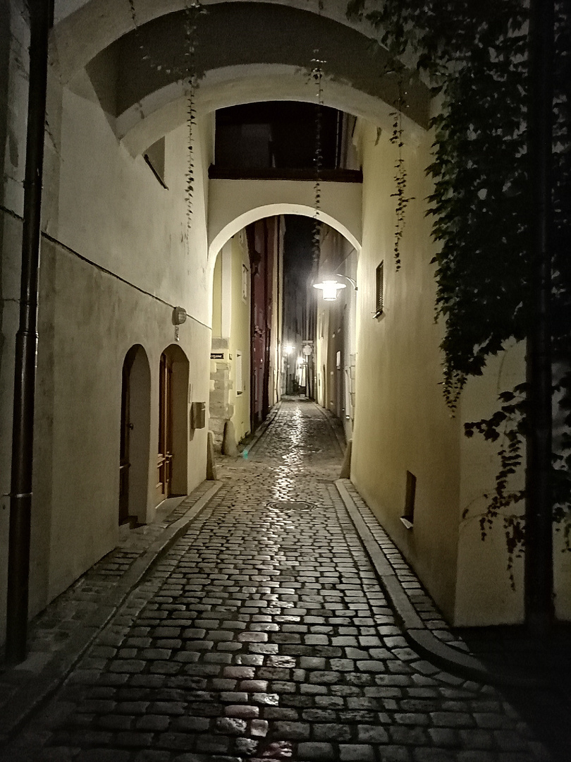 Passau_bei_Nacht-01