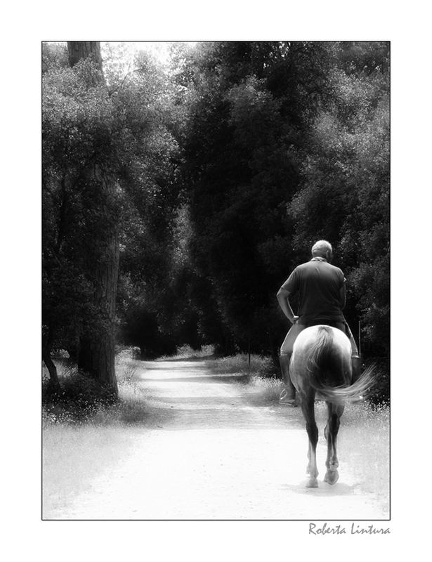 Passeggiando... a cavallo