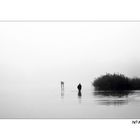 Passeggiando all'alba nel lago