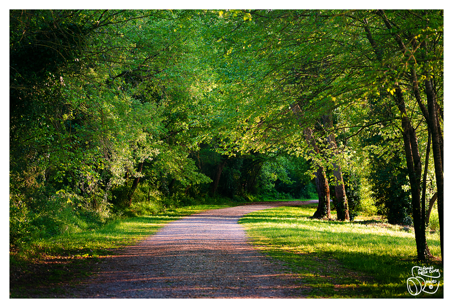 Passeggiando