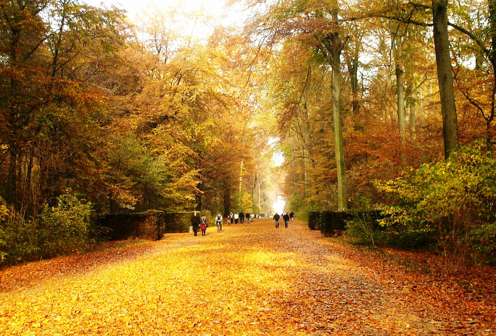 passeggiando in autunno