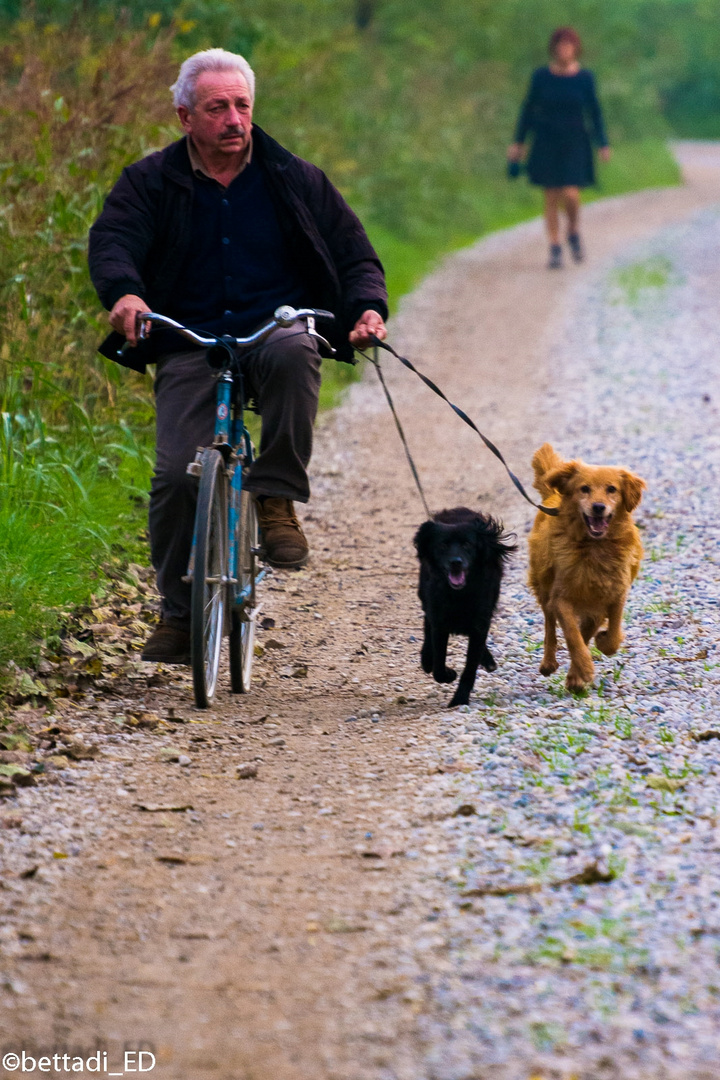 passeggiando in bicicletta