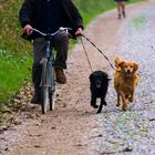 passeggiando in bicicletta