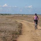 passeggiando in bicicletta