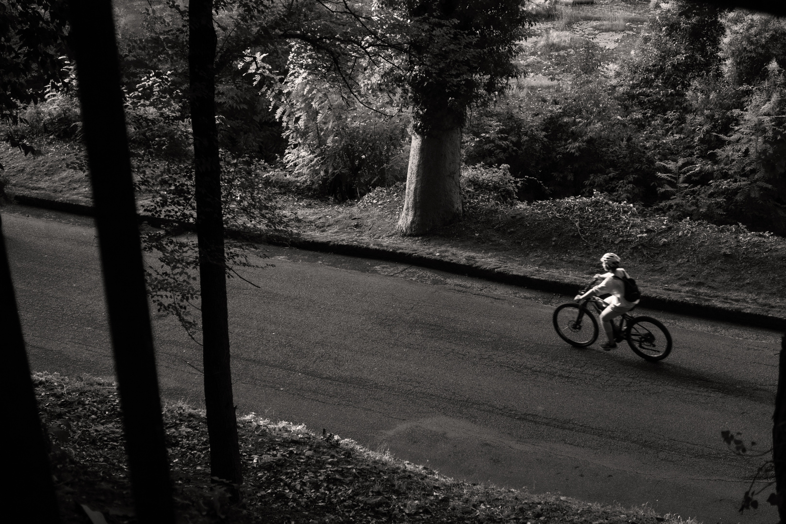 passeggiando in bicicletta