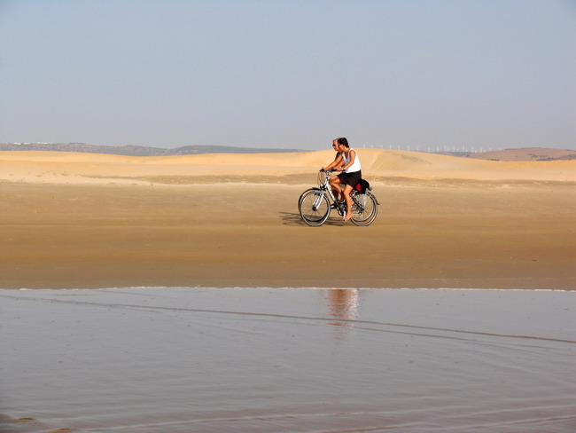 Passeggiando in bicicletta...