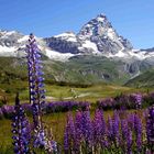 Passeggiando in montagna