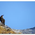 Passeggiando lassù.