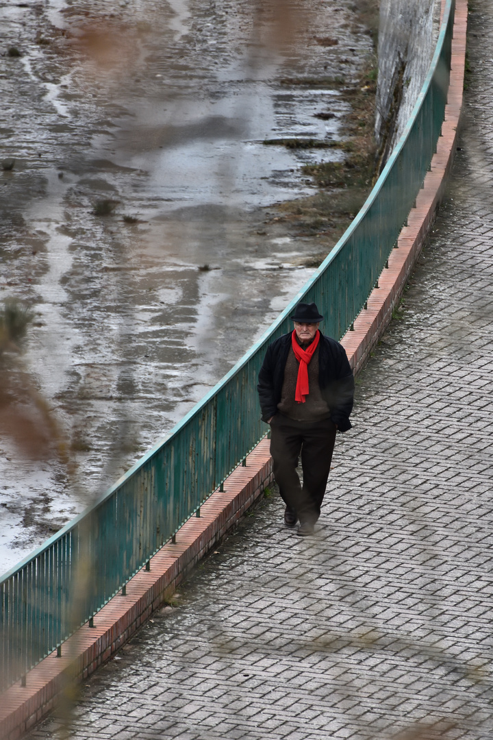 Passeggiando lungo il lago