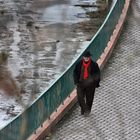 Passeggiando lungo il lago